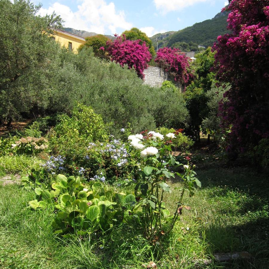 Casa Puccini B&B Maratea Εξωτερικό φωτογραφία