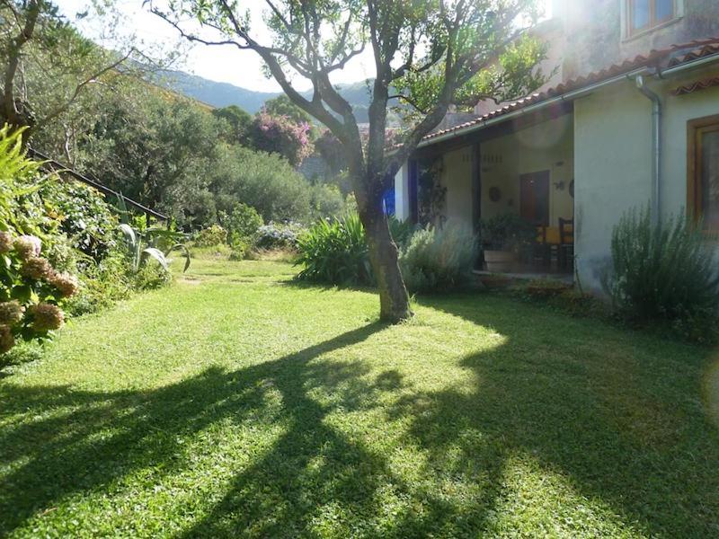 Casa Puccini B&B Maratea Εξωτερικό φωτογραφία