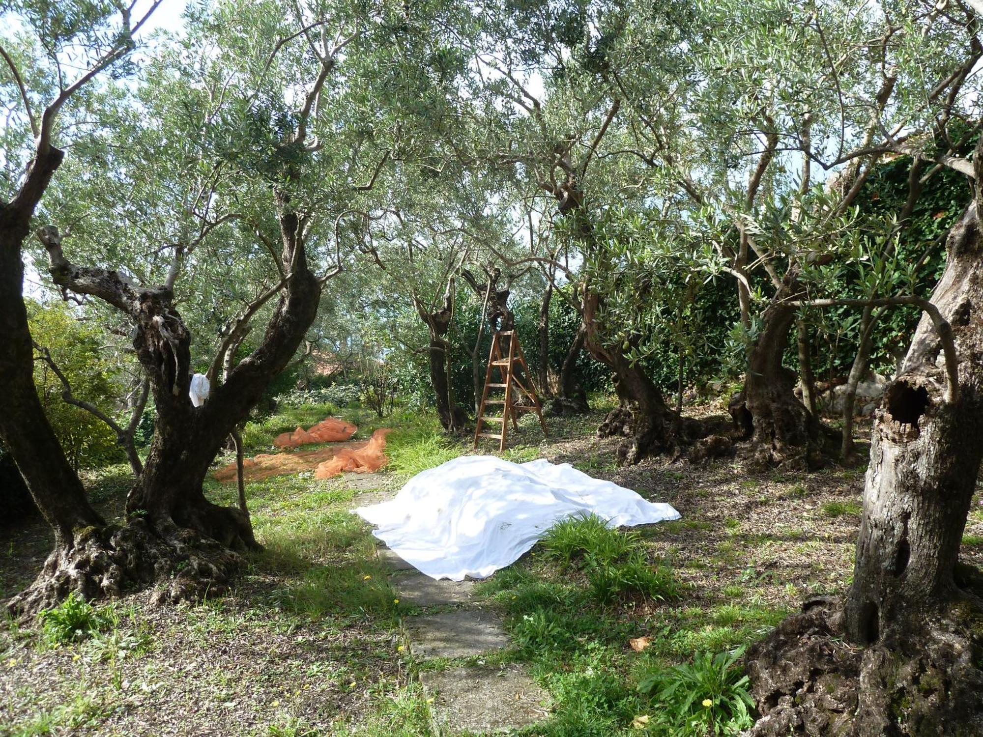 Casa Puccini B&B Maratea Εξωτερικό φωτογραφία